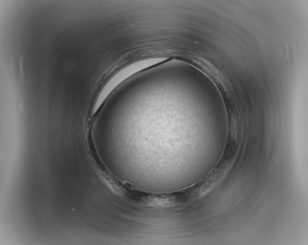 X0000116130405200911301351