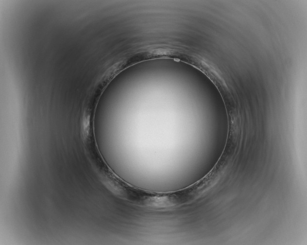 X0000116130406200911301351