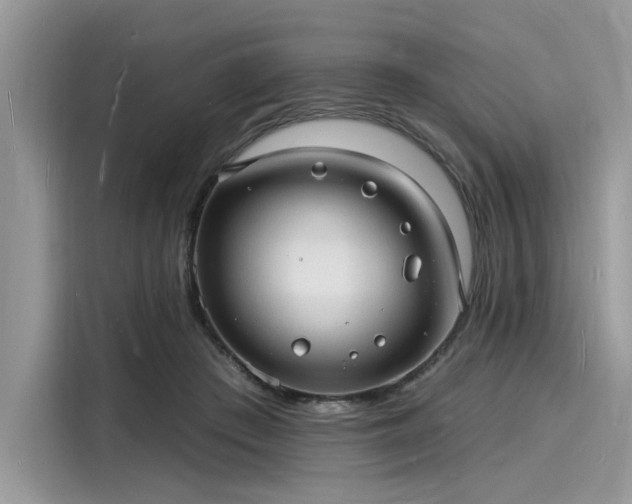 X0000116130409200911301351