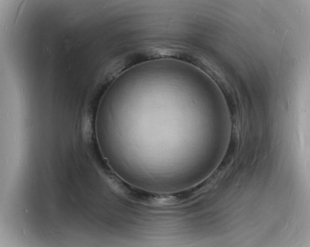 X0000116130410200911301351