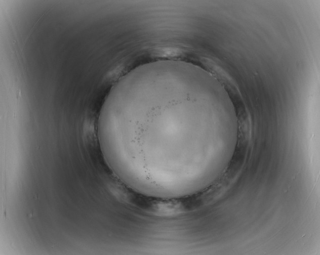 X0000116130415200911301351