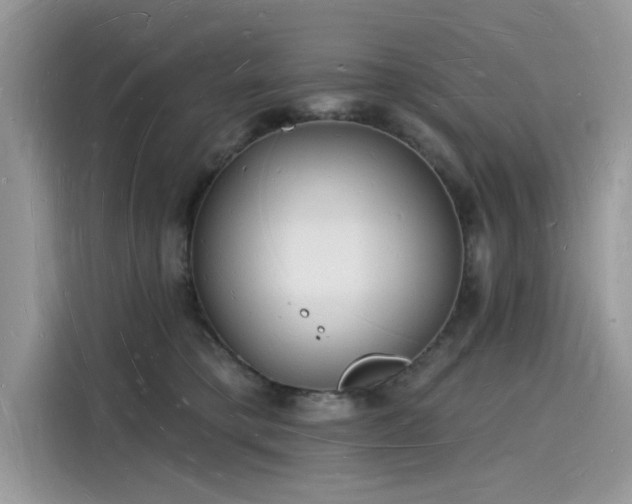 X0000116130421200911301351