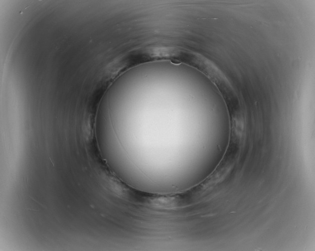 X0000116130422200911301351