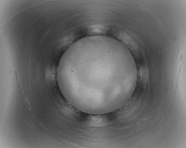 X0000116130423200911301351