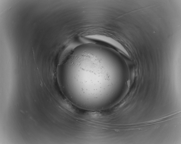 X0000116130424200911301351