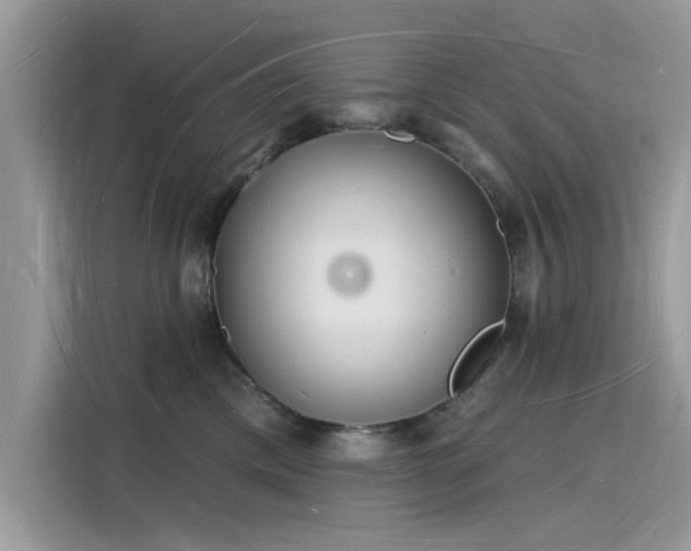 X0000116130425200911301351