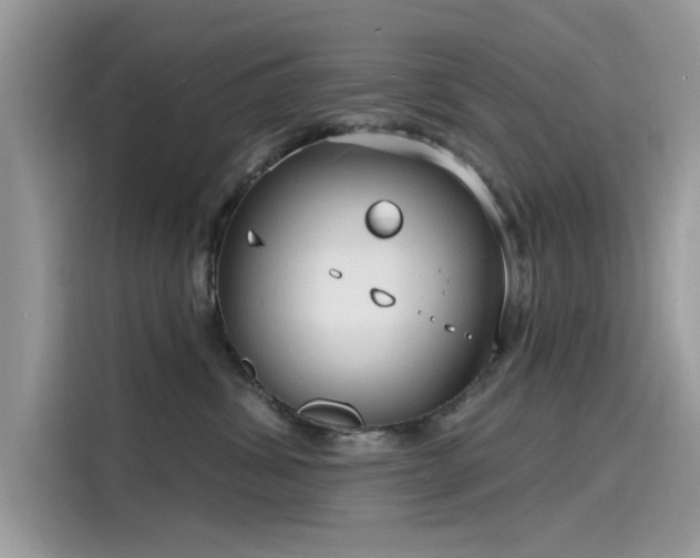 X0000116130428200911301351