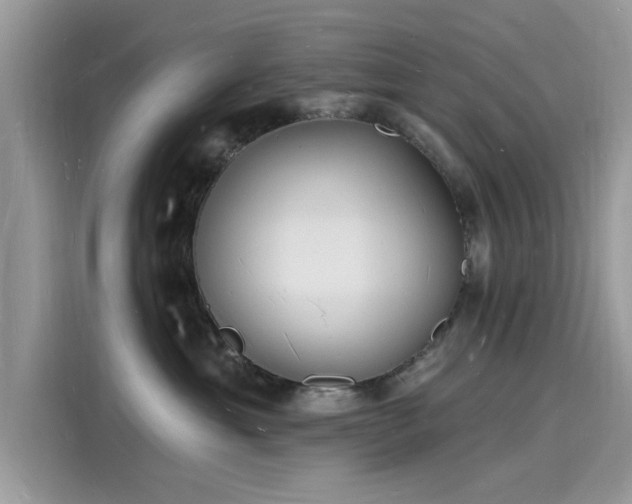 X0000116130429200911301351