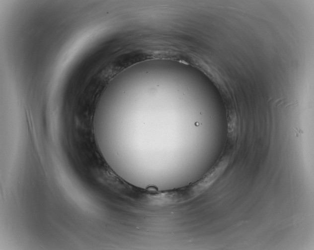 X0000116130430200911301351