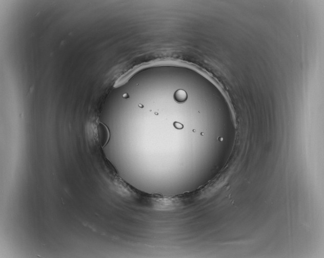 X0000116130432200911301351