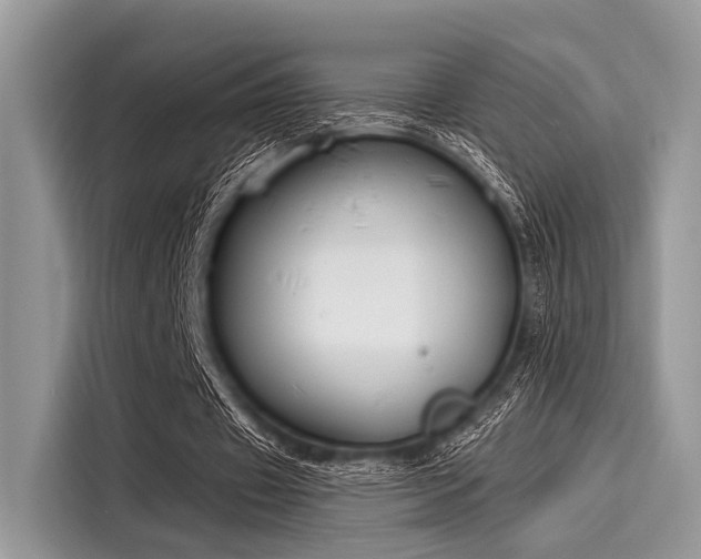 X0000116130433200911301350