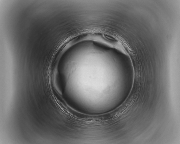 X0000116130434200911301350