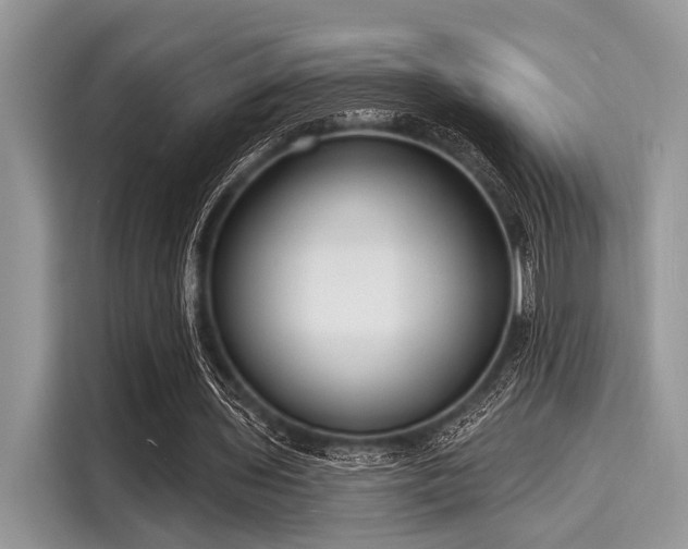 X0000116130435200911301350