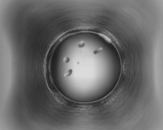 X0000116130436200911301350
