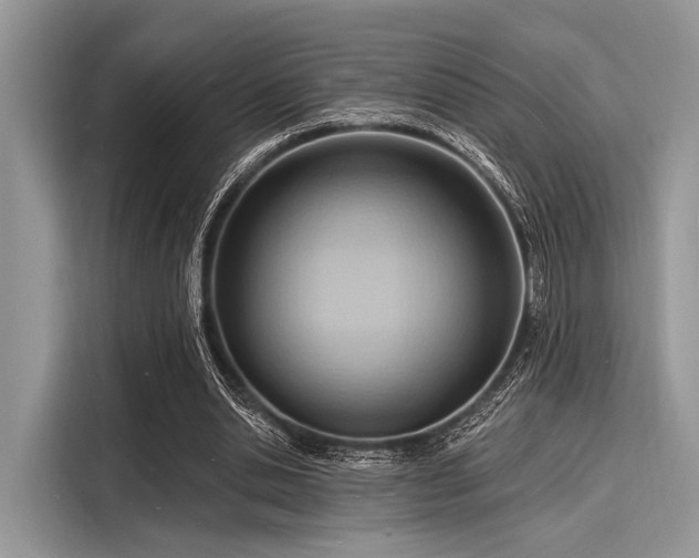 X0000116130438200911301350
