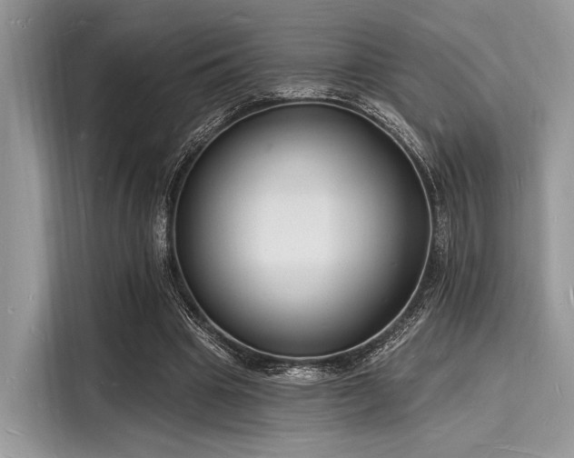 X0000116130441200911301350