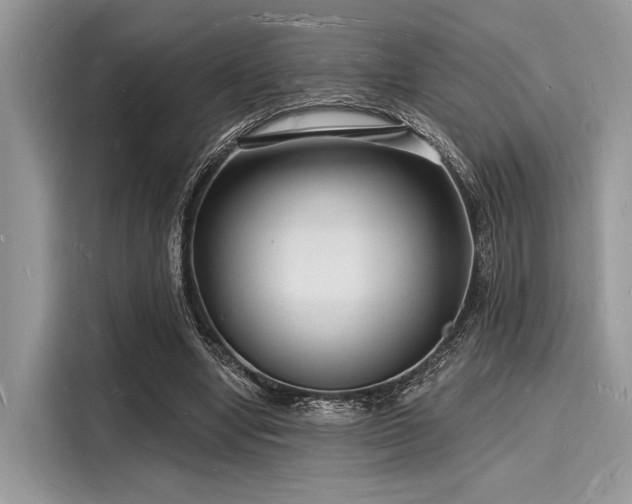 X0000116130442200911301350