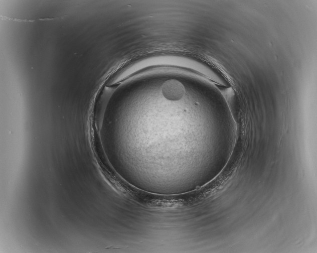X0000116130443200911301350