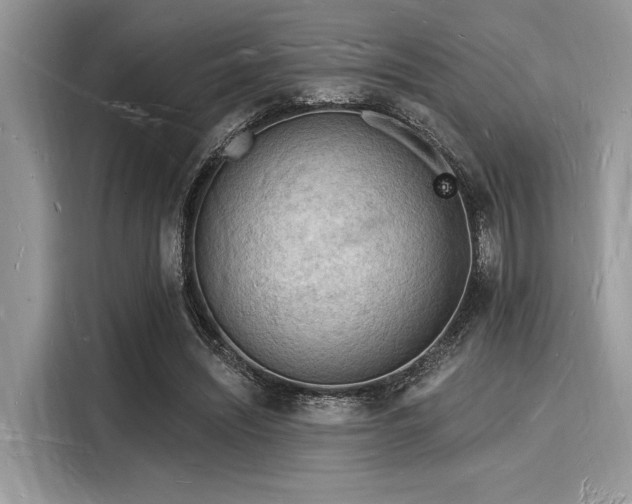 X0000116130444200911301350