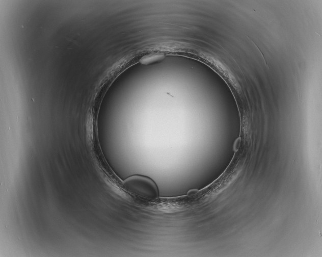 X0000116130445200911301350