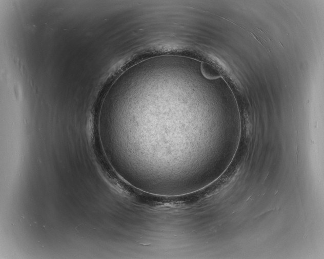 X0000116130447200911301350