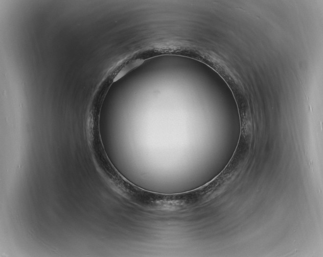 X0000116130448200911301350