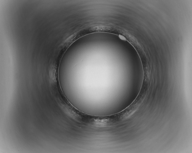 X0000116130450200911301350