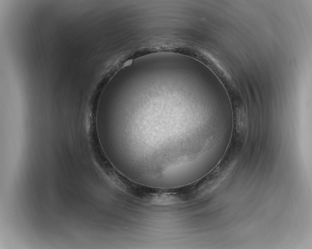 X0000116130451200911301350