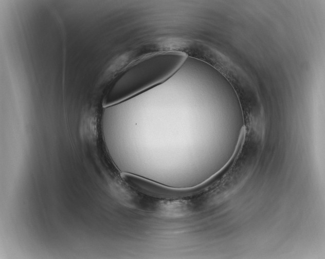 X0000116130452200911301350