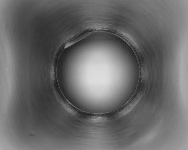 X0000116130453200911301350