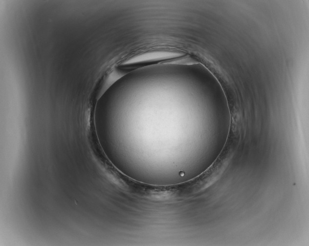 X0000116130454200911301350