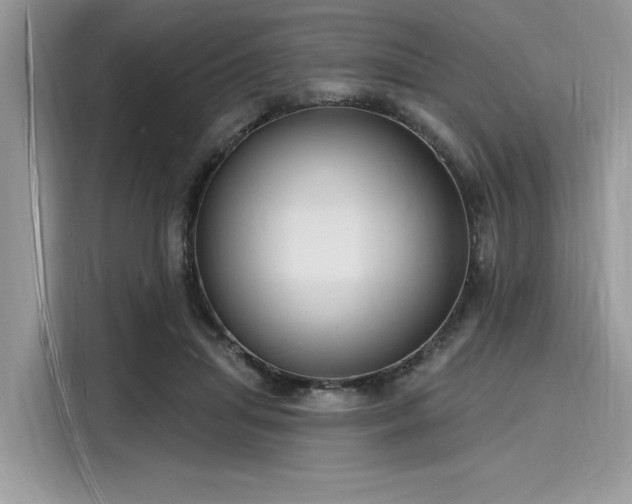 X0000116130455200911301350