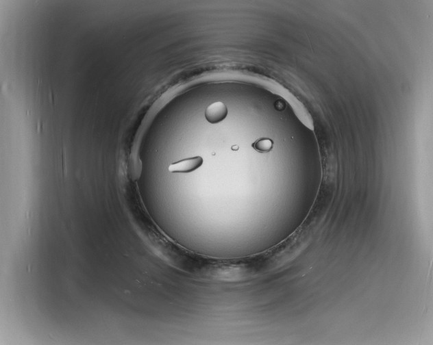 X0000116130456200911301350