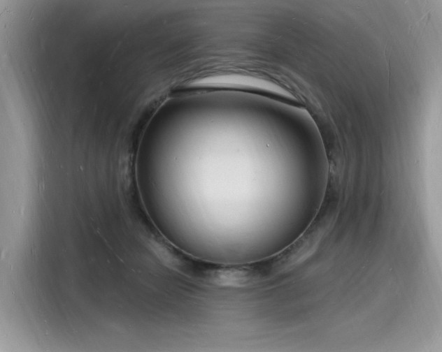 X0000116130462200911301350
