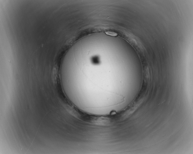 X0000116130463200911301350