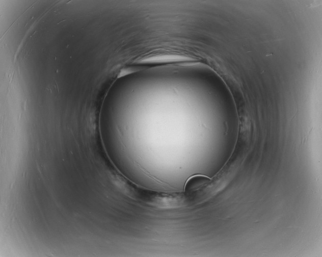 X0000116130466200911301350