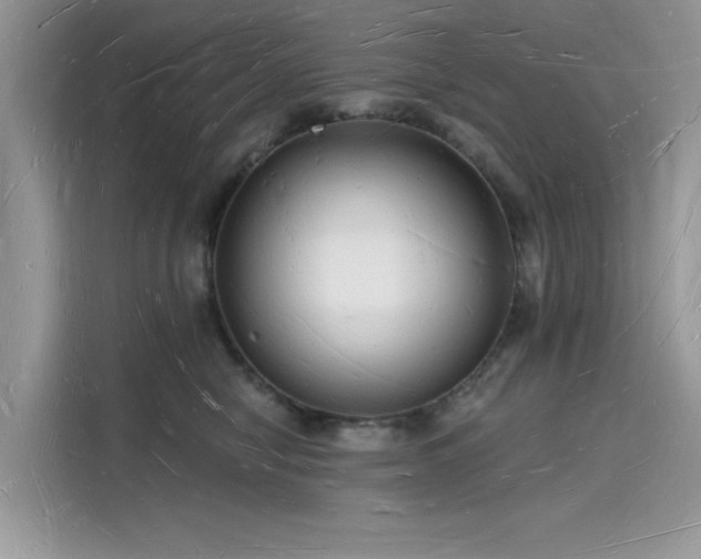 X0000116130470200911301350
