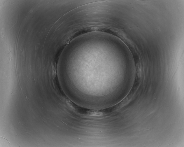 X0000116130471200911301350