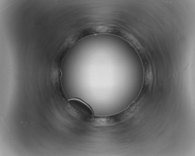 X0000116130473200911301350