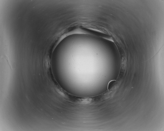 X0000116130474200911301350