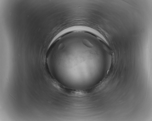X0000116130475200911301350