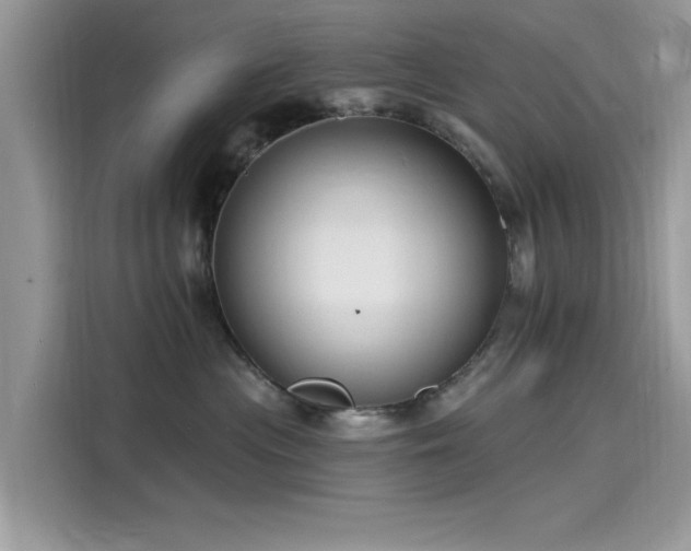 X0000116130477200911301350