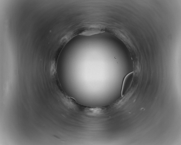 X0000116130478200911301351