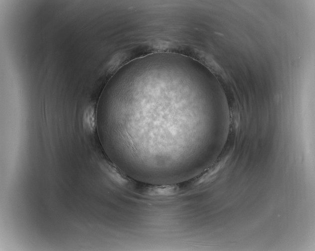 X0000116130479200911301351