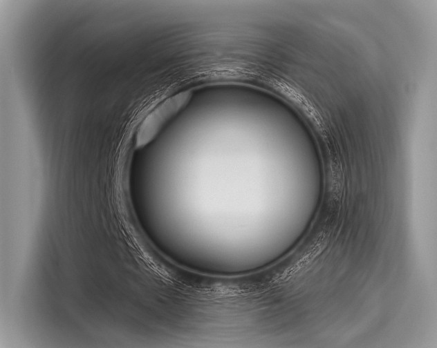 X0000116130481200911301350