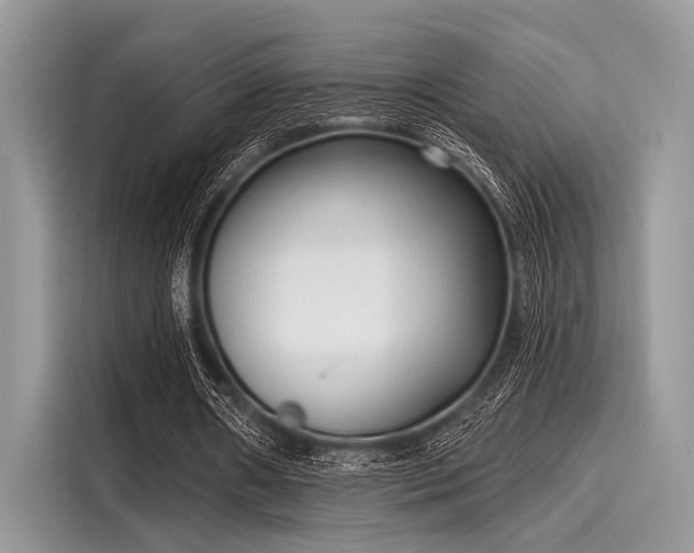 X0000116130482200911301350