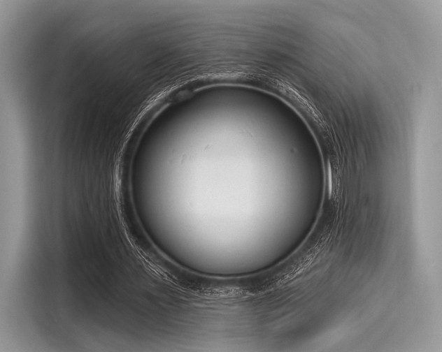X0000116130483200911301350