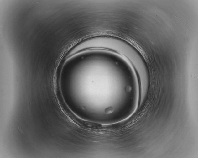X0000116130485200911301350
