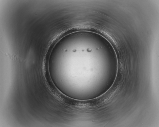 X0000116130487200911301350