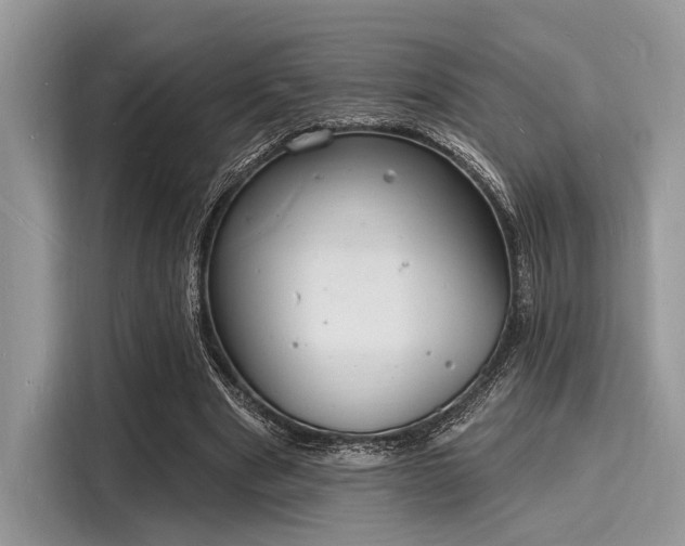 X0000116130489200911301350